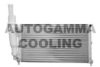 AUTOGAMMA 100294 Radiator, engine cooling